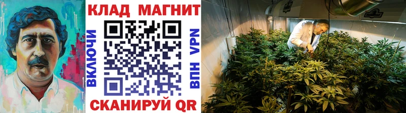 Купить закладку Гашиш  Марихуана  APVP  Меф  COCAIN  Мурино