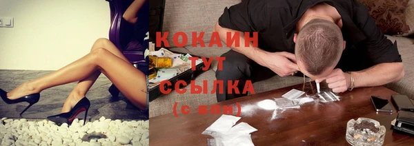 индика Гусиноозёрск