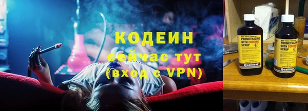 индика Гусиноозёрск