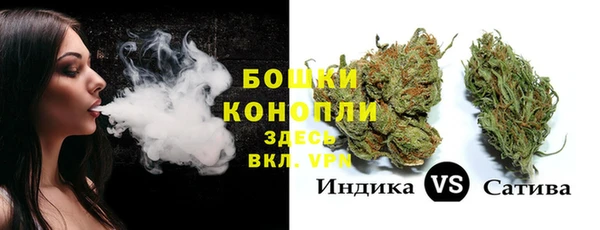 индика Гусиноозёрск
