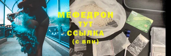 индика Гусиноозёрск