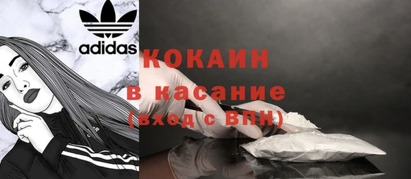 индика Гусиноозёрск