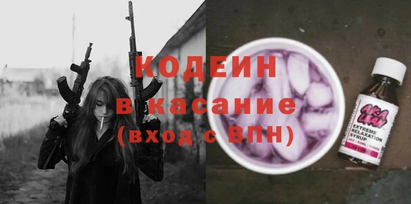 индика Гусиноозёрск