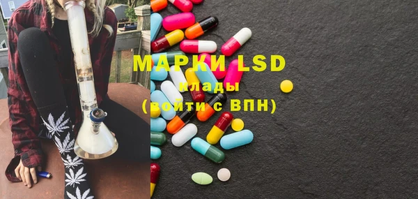 индика Гусиноозёрск
