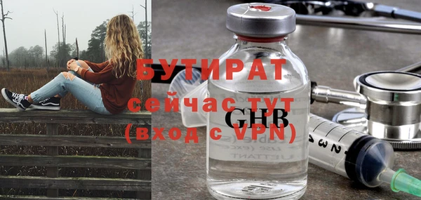 индика Гусиноозёрск