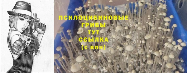 скорость mdpv Гусев