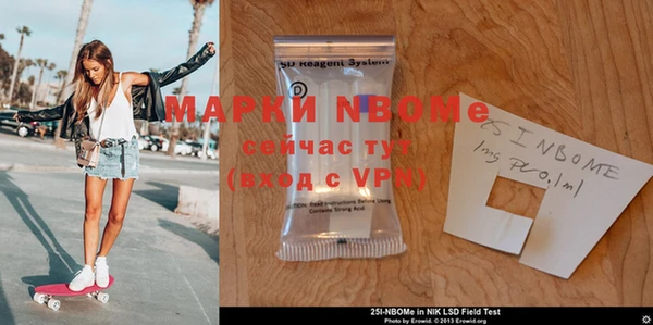индика Гусиноозёрск