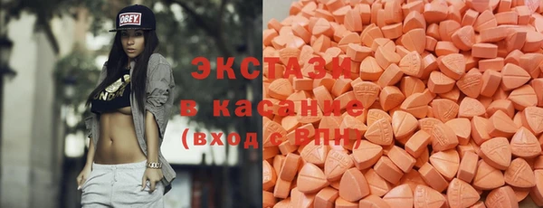 индика Гусиноозёрск