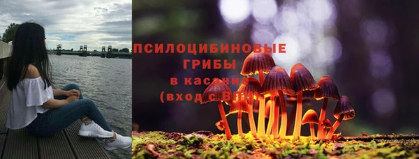 индика Гусиноозёрск