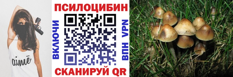 Купить  Мурино  Псилоцибиновые грибы Psilocybine cubensis 